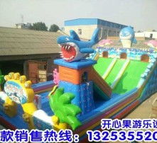 高清圖片與氣模玩具 視覺盛宴與歡樂體驗的完美結(jié)合